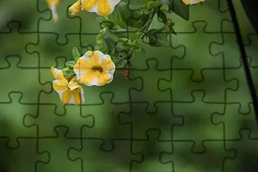OK jigsaw puzzle