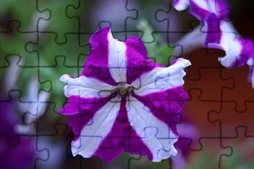 OK jigsaw puzzle