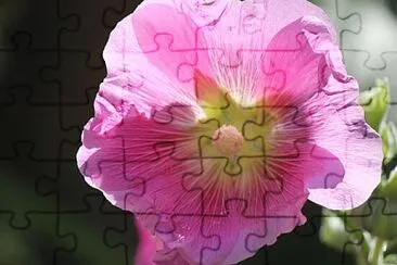 OK jigsaw puzzle