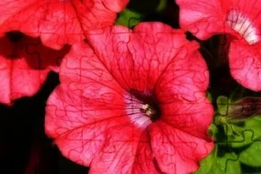 OK jigsaw puzzle