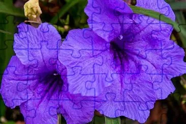OK jigsaw puzzle