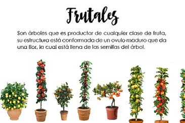 Cuentas de Activo No Corriente jigsaw puzzle