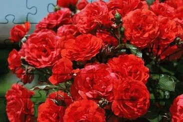 OK jigsaw puzzle