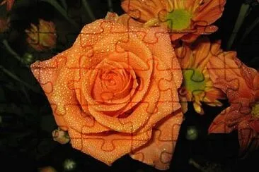 OK jigsaw puzzle