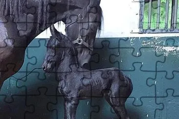 imagem jigsaw puzzle