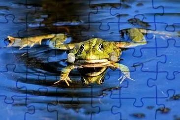 Toy jigsaw puzzle