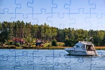 Toy jigsaw puzzle