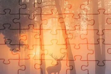 CENÃRIO K388 jigsaw puzzle