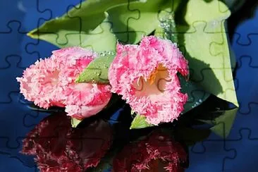 OK jigsaw puzzle