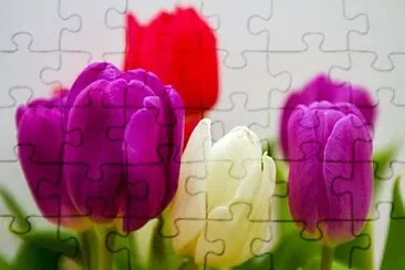 OK jigsaw puzzle