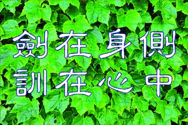 è—å¿ƒ