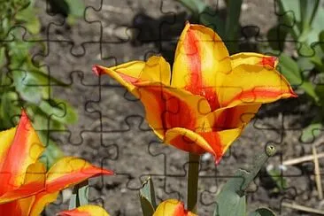 OK jigsaw puzzle