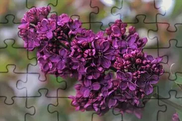 OK jigsaw puzzle