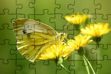 OK jigsaw puzzle