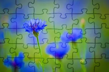 OK jigsaw puzzle
