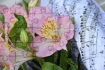 OK jigsaw puzzle