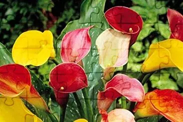 OK jigsaw puzzle