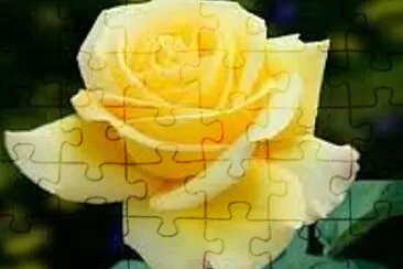 OK jigsaw puzzle