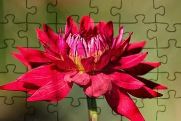 Foto jigsaw puzzle