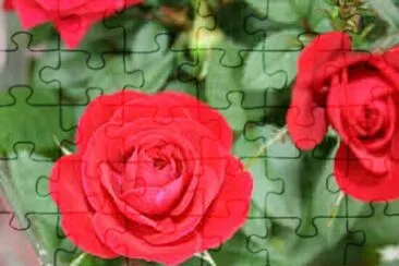 OK jigsaw puzzle