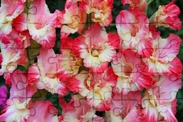 OK jigsaw puzzle