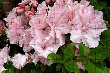 OK jigsaw puzzle