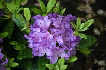 OK jigsaw puzzle