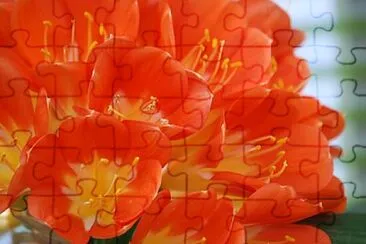 OK jigsaw puzzle