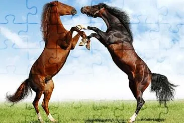Foto jigsaw puzzle