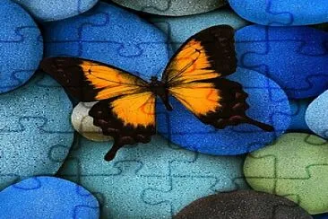 butterfly on blue pebbles jigsaw puzzle