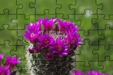 OK jigsaw puzzle