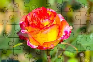 OK jigsaw puzzle