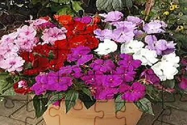 OK jigsaw puzzle