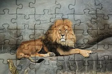 Foto jigsaw puzzle