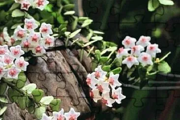 OK jigsaw puzzle