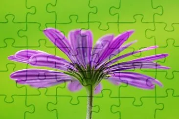 OK jigsaw puzzle