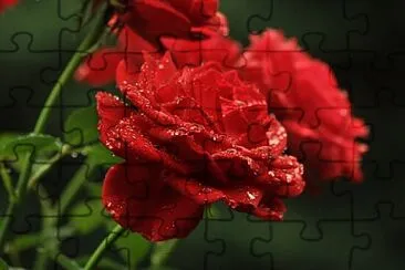 OK jigsaw puzzle