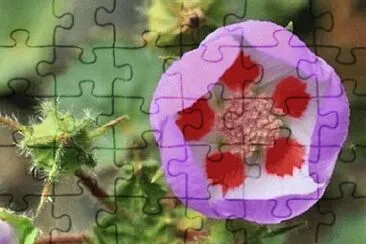 OK jigsaw puzzle