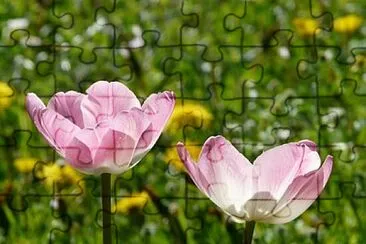 OK jigsaw puzzle