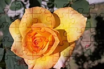 OK jigsaw puzzle