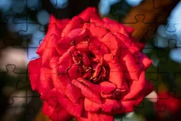 OK jigsaw puzzle