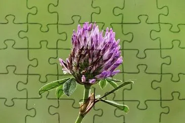 OK jigsaw puzzle
