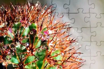 OK jigsaw puzzle