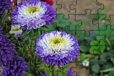 OK jigsaw puzzle