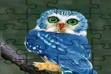 Rare Blue Owl
