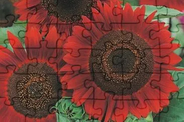 OK jigsaw puzzle