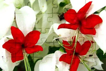 OK jigsaw puzzle