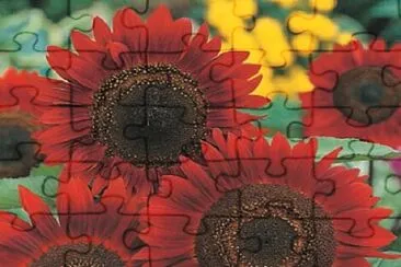 OK jigsaw puzzle