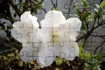 OK jigsaw puzzle