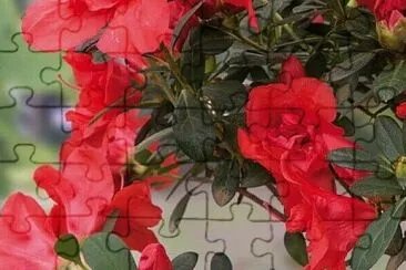 OK jigsaw puzzle